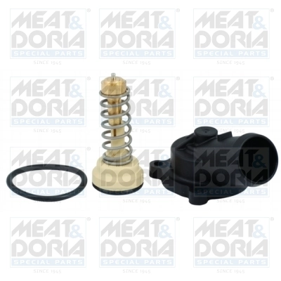 Thermostat, coolant